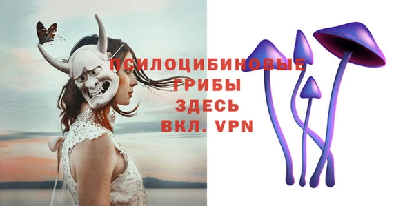 герыч Верхний Тагил