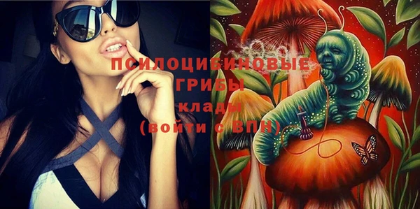 дживик Верея