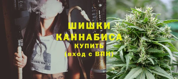 дживик Верея