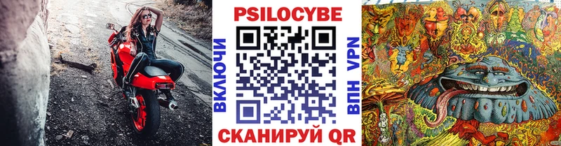 Галлюциногенные грибы мицелий  наркотики  Норильск 